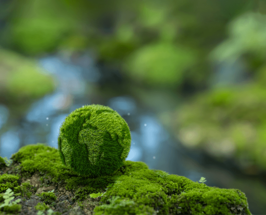 Sustainability - Axiom Acoustics