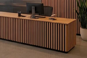 Natural WoodSlat PET+Wood veneer